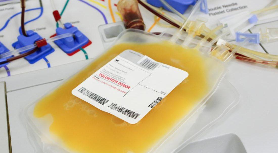Banco de sangue em Goiânia coleta plasma de recuperados da covid-19