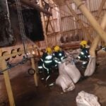 Bombeiros combatem incêndio em fábrica de ração, em Rio Verde