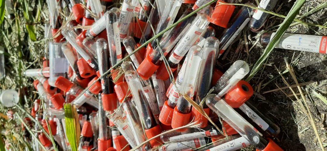 Caminhoneiro flagra descarte de frascos de coleta de sangue na BR-060