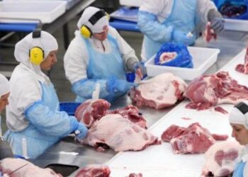 Goiás é aprovado para exportar carne para a Tailândia