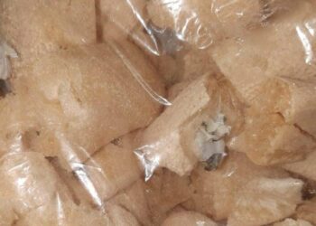 Mulher é detida ao entregar drogas em biscoito no presídio de Luziânia