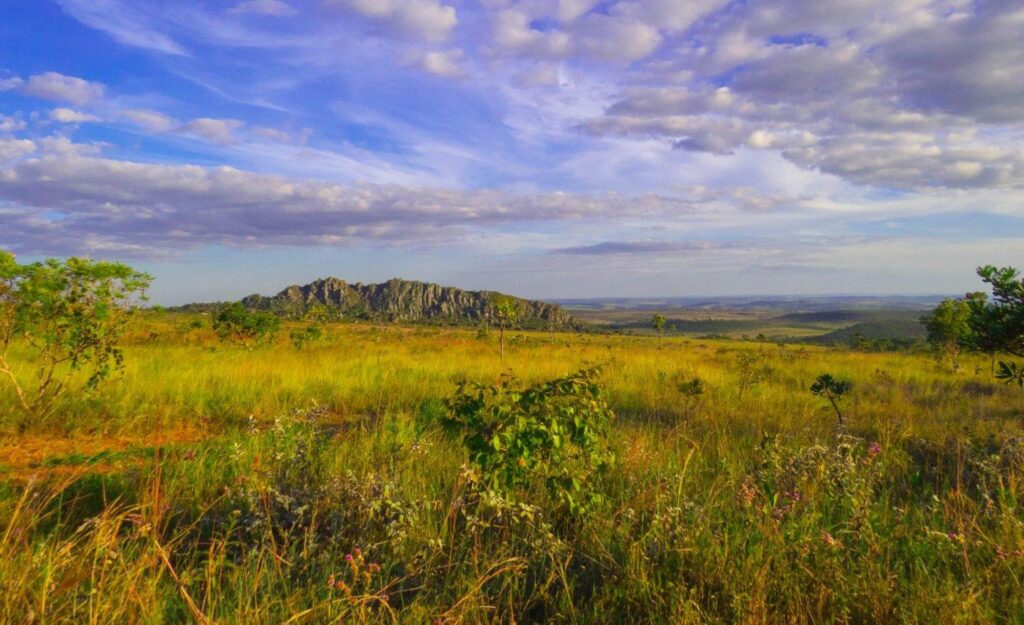 Parque dos Pirineus é um destino incrível e gratuito em Goiás Dia Online Parque dos Pirineus é um destino incrível e gratuito em Goiás Dia Online