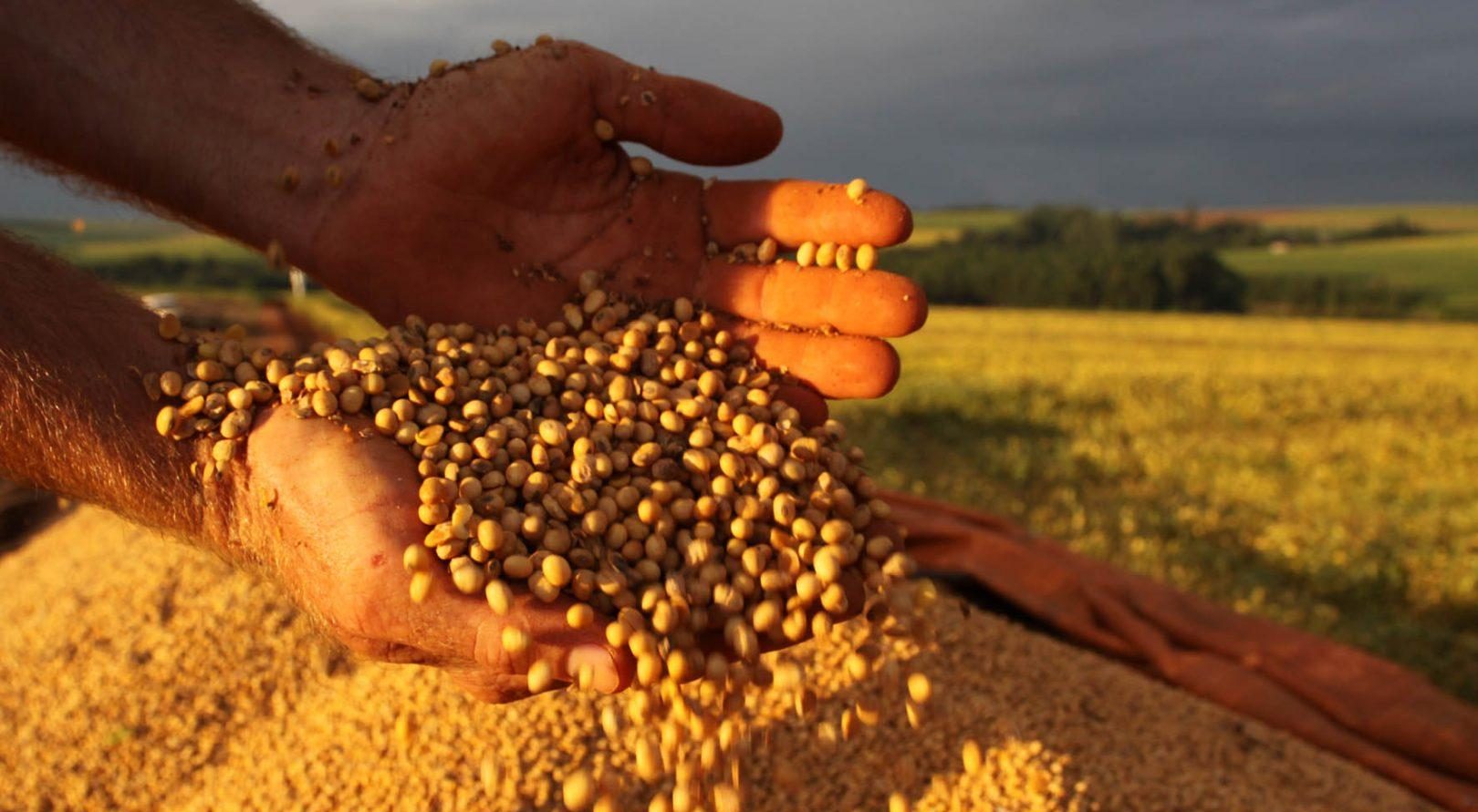 Agropecuária pode faturar R$ 703,8 bilhões em 2020, diz ministério
