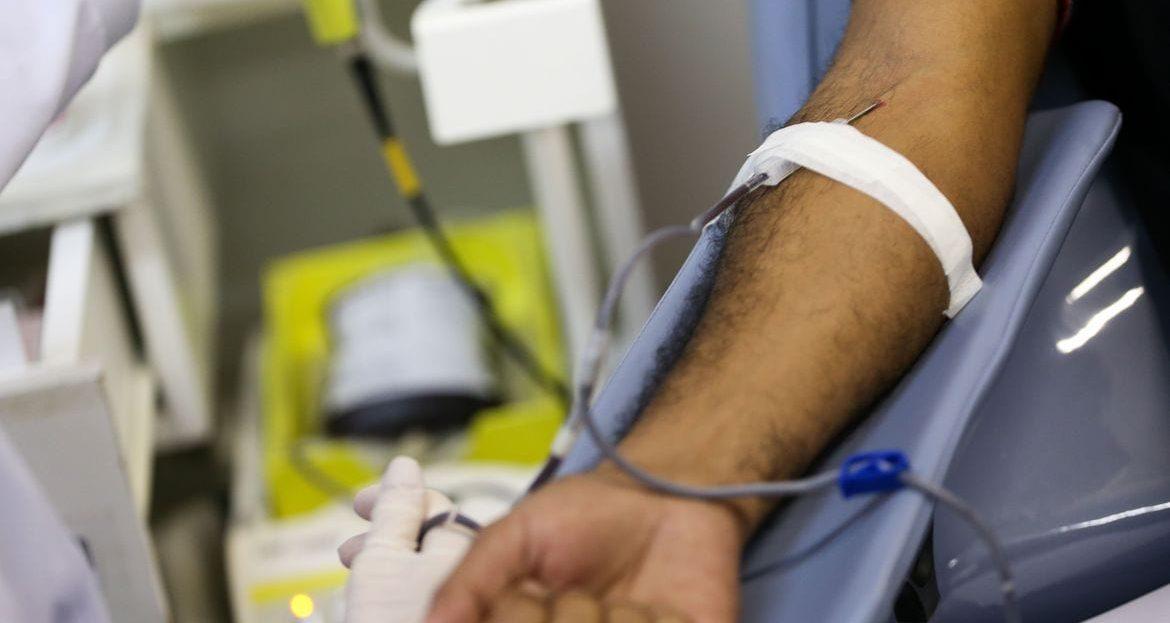 Anvisa contraria STF e mantém veto a doação de sangue por homens gays