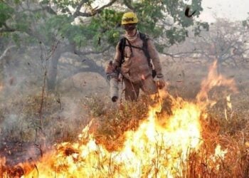 Casal é detido por provocar incêndio em vegetação, em Aparecida de Goiânia