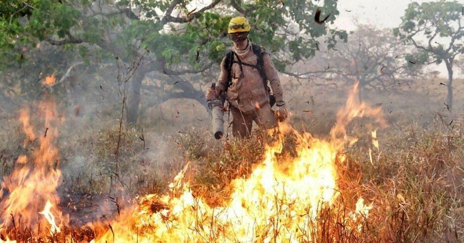 Casal é detido por provocar incêndio em vegetação, em Aparecida de Goiânia