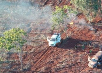 Nova operação encontra área de desmatamento irregular, em Cavalcante