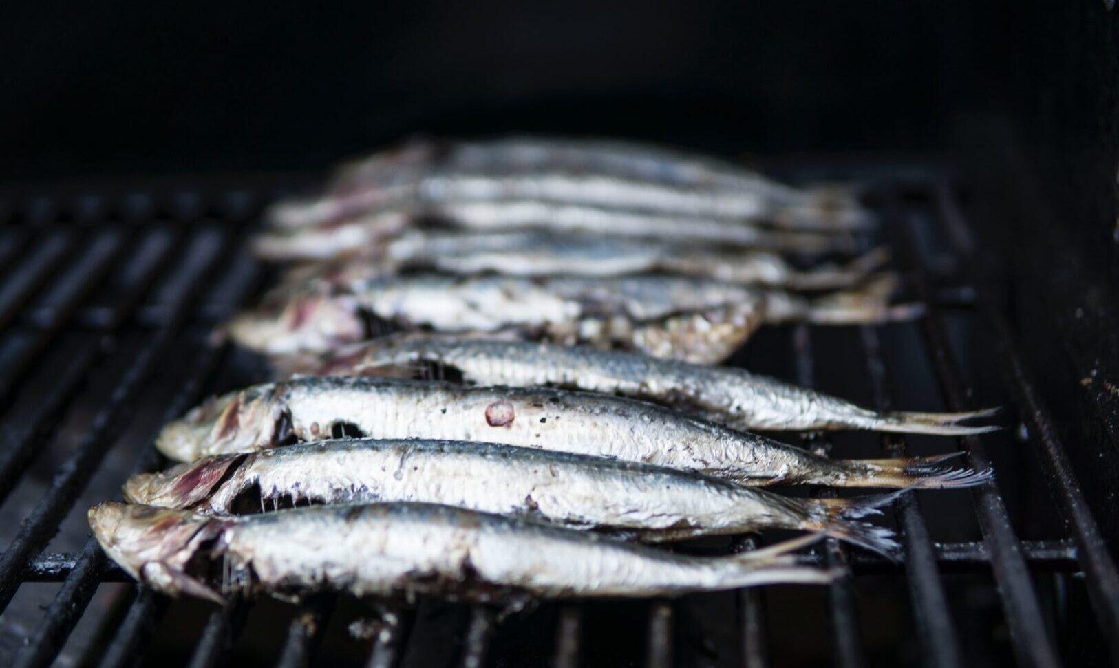 Peixarias em Brasília: saiba onde encontrar pescados frescos e de qualidade