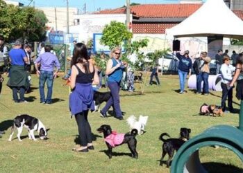 Cachorródromo: Projeto de Lei cria espaço de convivência para cães, em Goiânia