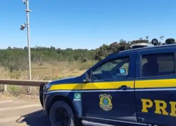 Caminhoneiro é preso após danificar, por duas vezes, radar na BR-020