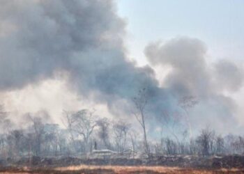 Em período de seca, incêndios criminosos em Goiás aumentam preocupação dos bombeiros