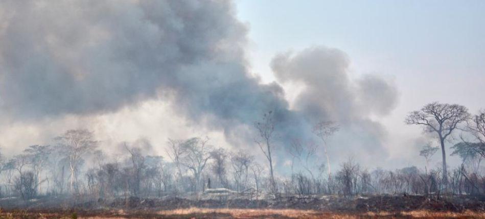 Em período de seca, incêndios criminosos em Goiás aumentam preocupação dos bombeiros