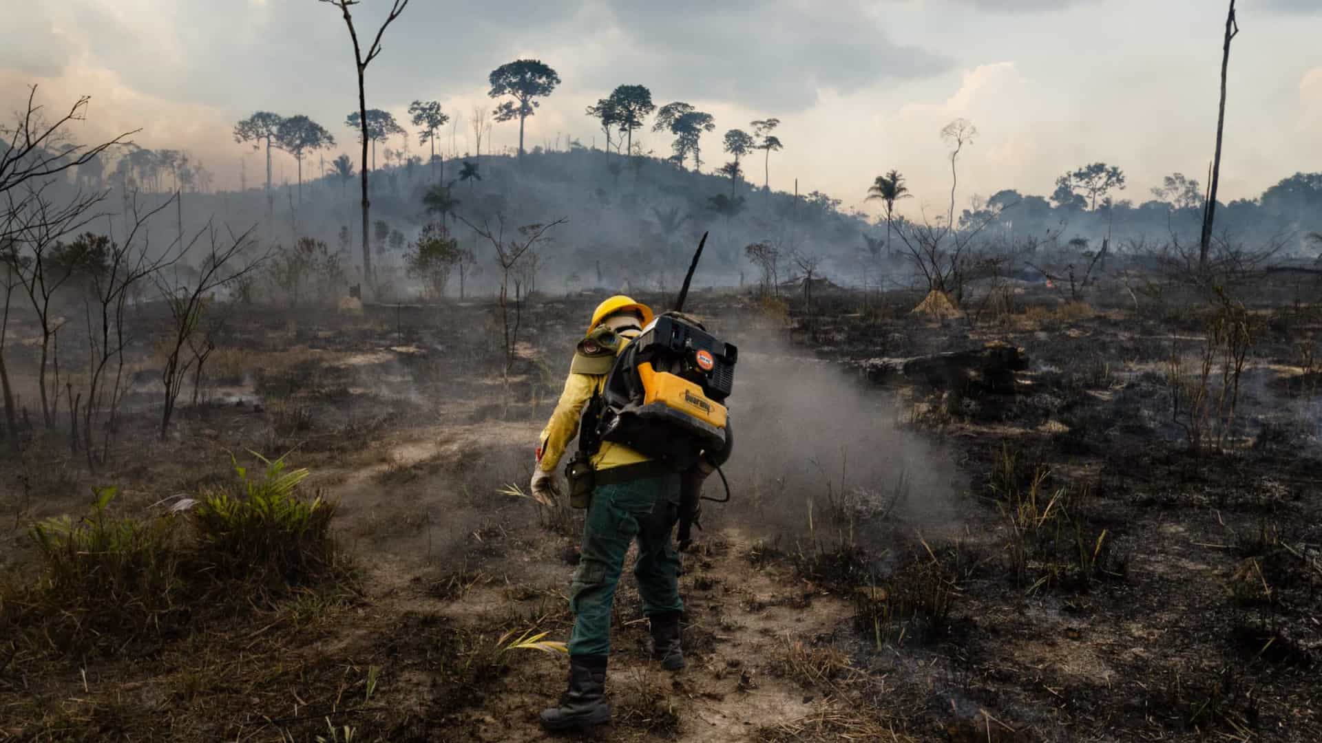 Governo vai proibir queimada na Amazônia por quatro meses
