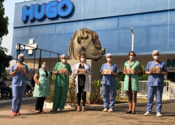 Afastadas pela pandemia, voluntárias entregam mimos a colaboradores do Hugo