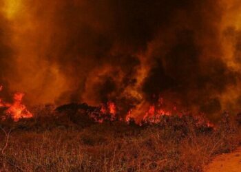 MT pede Força Nacional contra fogo no Pantanal