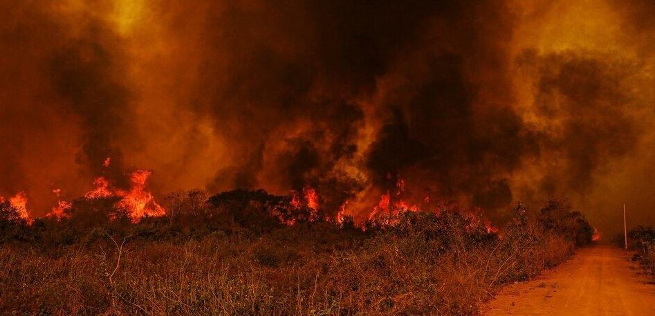 MT pede Força Nacional contra fogo no Pantanal