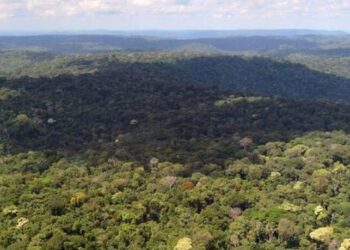 Governo prorroga até abril de 2021 apoio da Força Nacional ao ICMBio na Amazônia