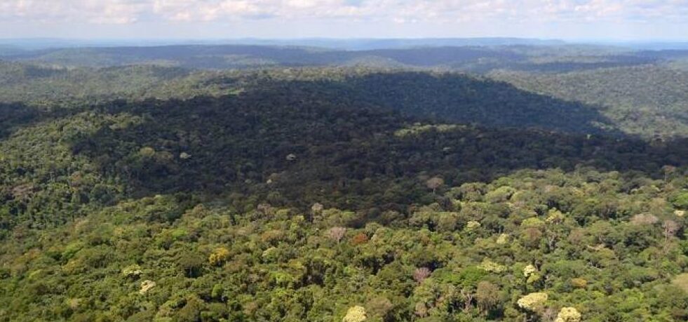 Governo prorroga até abril de 2021 apoio da Força Nacional ao ICMBio na Amazônia