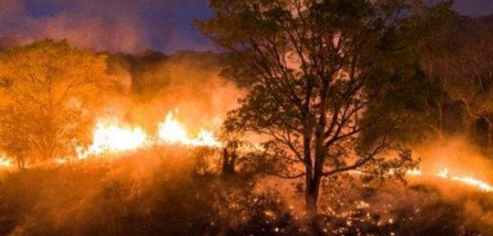 Ibama manda recolher todos agentes de combate a incêndios por falta de recursos