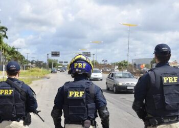 PRF apreende drogas e provoca prejuízo de meio milhão de reais ao tráfico