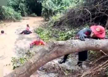 Chuva dificulta buscas por menina de 4 anos que sumiu em riacho, em Goiás