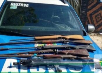 Adolescente é apreendido após furtar armas da Delegacia de Araguapaz