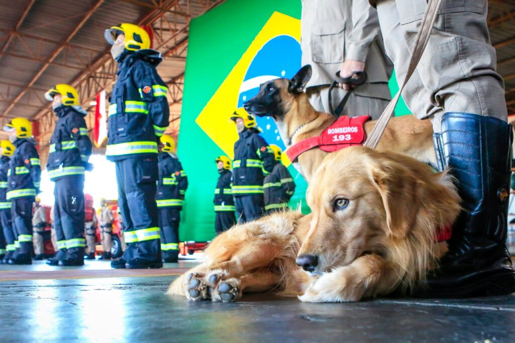 Petrópolis: bombeiros goianos são enviados para auxiliar nos trabalhos de resgate