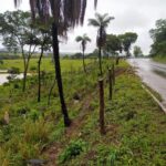 Três caminhoneiros morrem em acidentes nas BRs 153 e 020, em Goiás