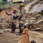 Equipe de bombeiros que atuou na tragédia em Petrópolis volta a Goiás