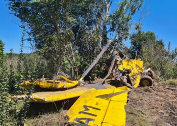 Piloto de avião agrícola é encontrado morto após queda de aeronave, em Mineiros 2'