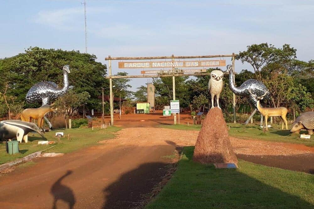 Desmatamento ilegal é encontrado às margens do Parque Nacional das Emas, em Goiás