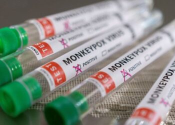 Ministério da Saúde confirma sétimo caso de varíola dos macacos no Brasil