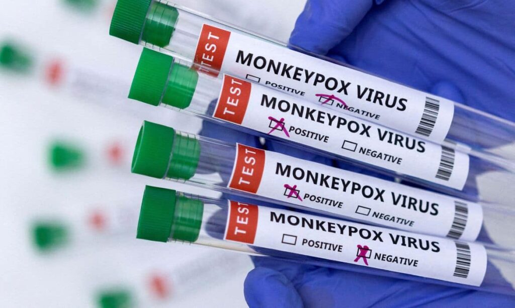 Prefeitura de Senador Canedo acredita que macacos foram mortos por medo da varíola
