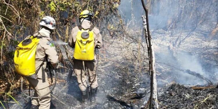 Bombeiros controlam incêndio que atingiu 150 hectares de vegetação no Parque João Leite