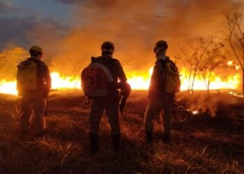 Bombeiros controlam incêndio que atingiu 150 hectares de vegetação no Parque João Leite