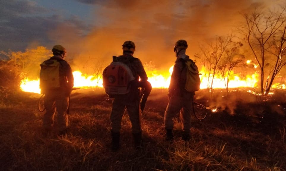 Bombeiros controlam incêndio que atingiu 150 hectares de vegetação no Parque João Leite