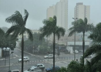 Fortes chuvas causam estragos em Goiânia e Aparecida; veja
