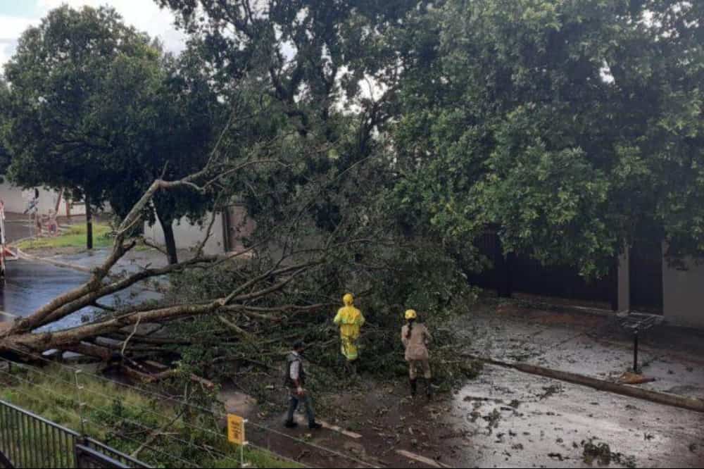 Inmet emite alerta de chuvas fortes em Goiânia e em mais de 140 cidades em Goiás