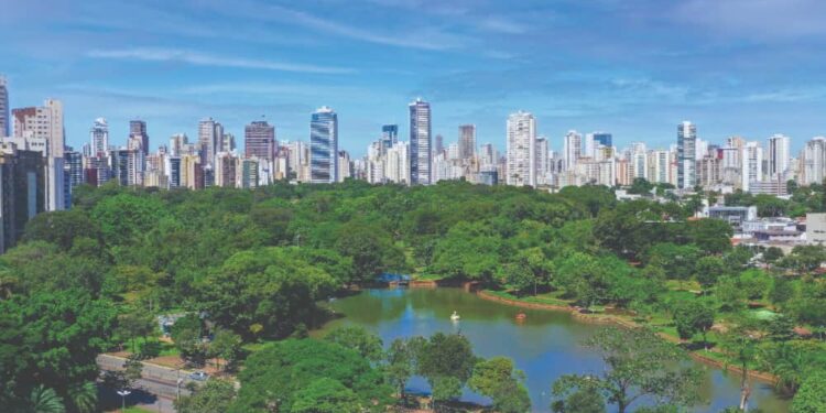 Agronegócio e crescimento do mercado na região atraem escritório de investimentos para Goiânia