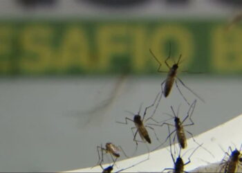Combate à dengue é intensificado em Aparecida de Goiânia
