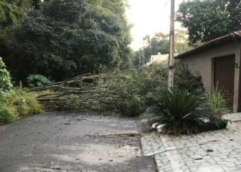 Forte chuva em Goiânia causa alagamentos, queda de árvores e falta de energia