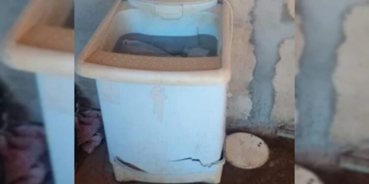 Mulher morre eletrocutada ao usar tanque de lavar roupas no MA, Maranhão