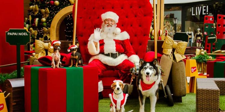 Natal 2022: chegada do Papai Noel em shoppings de Goiânia abre festividade natalina