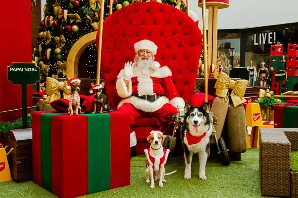 ParkShoppingBarigui tem espetáculo de Natal para receber o Papai Noel