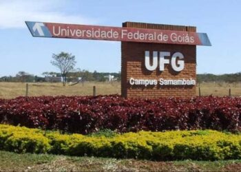 UFG: inscrições abertas para quase 900 vagas remanescentes; veja como participar
