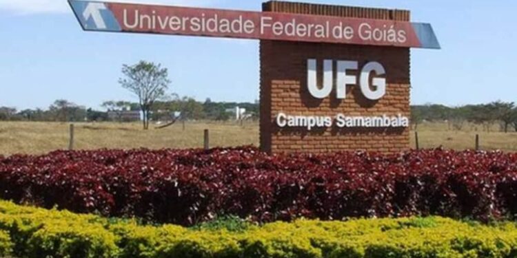 UFG: inscrições abertas para quase 900 vagas remanescentes; veja como participar
