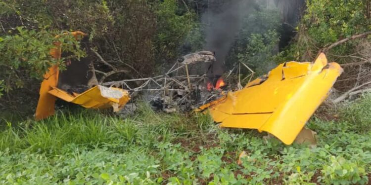 Piloto morre após avião agrícola cair em Bom Jesus de Goiás
