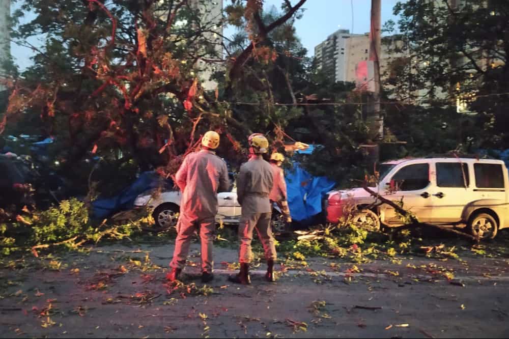 Árvore cai na Praça do Sol e deixa cinco pessoas feridas, em Goiânia