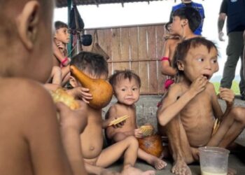 Inquérito deve apurar crimes ambientais e genocídio contra os Yanomamis