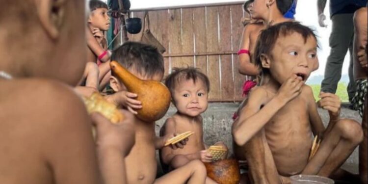 Inquérito deve apurar crimes ambientais e genocídio contra os Yanomamis